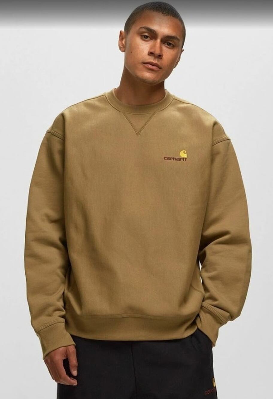 Carhartt WIP Work In Progress American Script Brown Crewneck Sweatshirt XL NWT